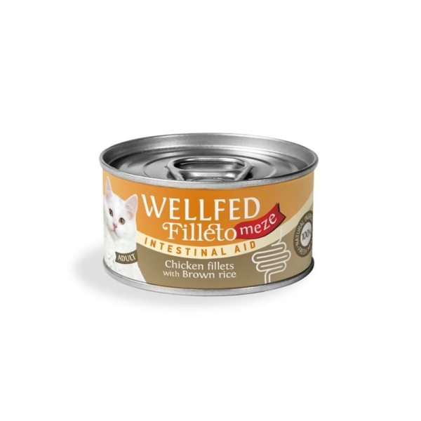 Wellfed Filleto Meze Intestinal Υγρή Τροφή για Ενήλικες Γάτες Κοτόπουλο 70gr